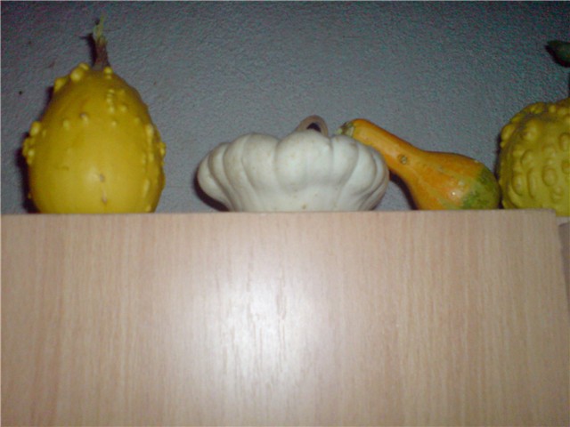 malo%20mojih%20tikvica